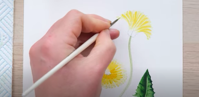 painting half open dandelions