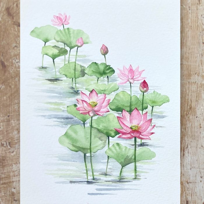 how to paint watercolour lotus flowers