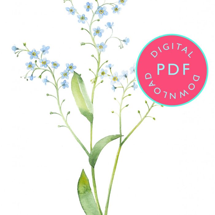 Forget me not watercolour tutorial, watercolour worksheet UK, floral watercolour tutorial